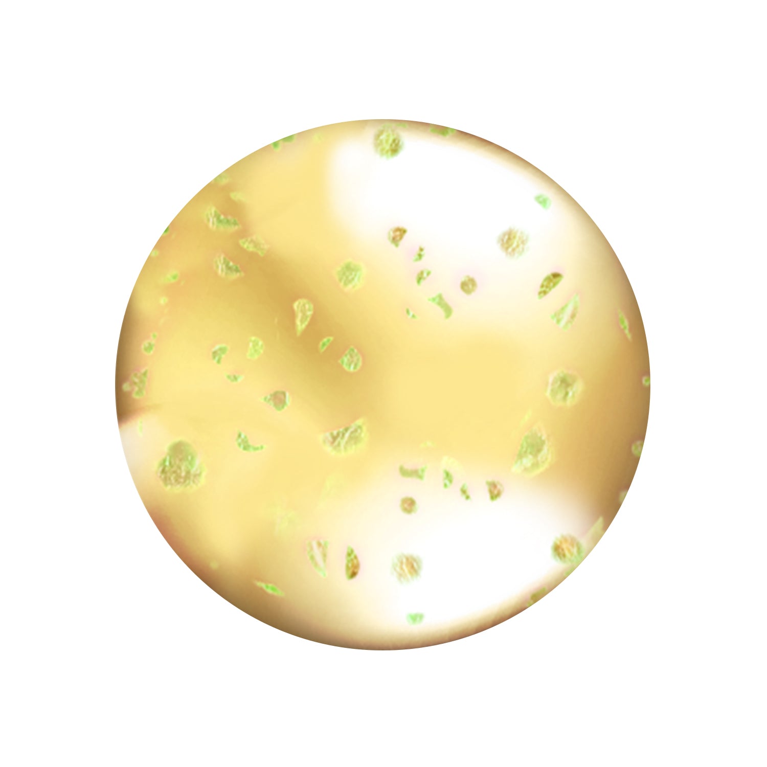 Lip oil hunnybun (vanilla scented) shade variant color swatch