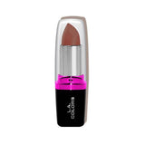 Hydrating Lipstick - CLIPC40 Flushed